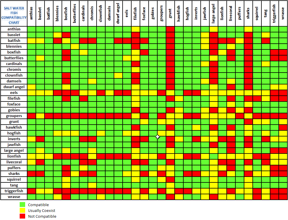 Fish Compatibility Chart
